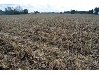 Property photo 88 - EHLE FARMS AUCTION - 118+/- ACRES IN 9 TRACTS IN ALLEN COUNTY, INDIANA